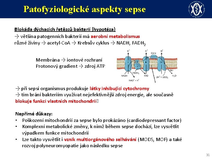 Patofyziologické aspekty sepse Blokáda dýchacích řetězců bakterií (hypotéza) → většina patogenních bakterií má aerobní