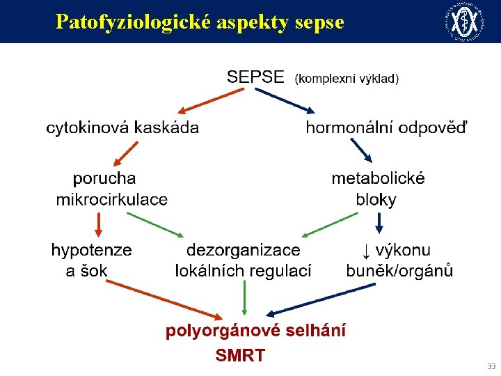 Patofyziologické aspekty sepse 33 