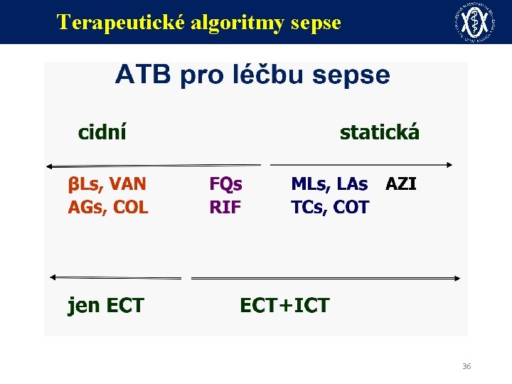 Terapeutické algoritmy sepse 36 