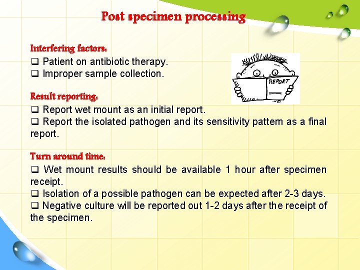 Post specimen processing Interfering factors: q Patient on antibiotic therapy. q Improper sample collection.