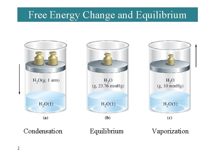 Free Energy Change and Equilibrium Condensation 2 Equilibrium Vaporization 