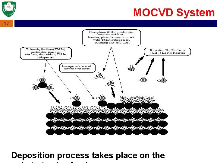 MOCVD System 12 Deposition process takes place on the 