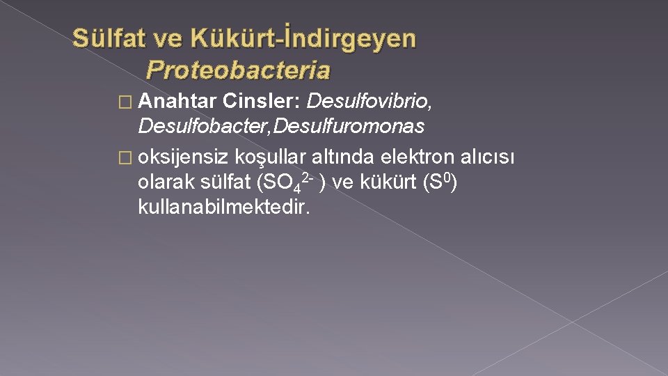 Sülfat ve Kükürt-İndirgeyen Proteobacteria � Anahtar Cinsler: Desulfovibrio, Desulfobacter, Desulfuromonas � oksijensiz koşullar altında