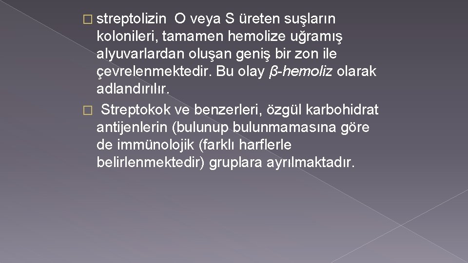 � streptolizin O veya S üreten suşların kolonileri, tamamen hemolize uğramış alyuvarlardan oluşan geniş