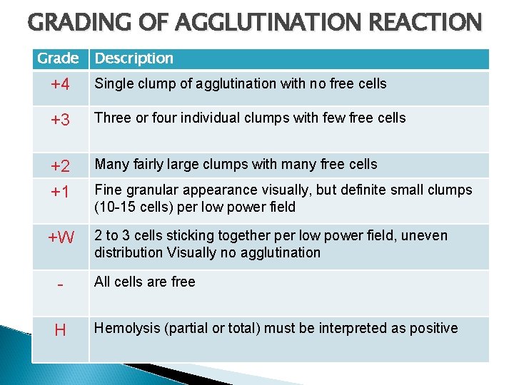 GRADING OF AGGLUTINATION REACTION Grade Description +4 +4 Single clump of agglutination with no