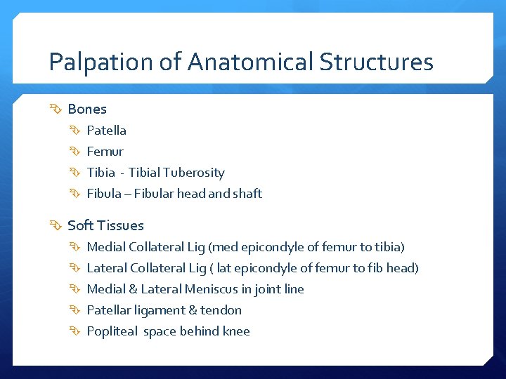 Palpation of Anatomical Structures Bones Patella Femur Tibia - Tibial Tuberosity Fibula – Fibular