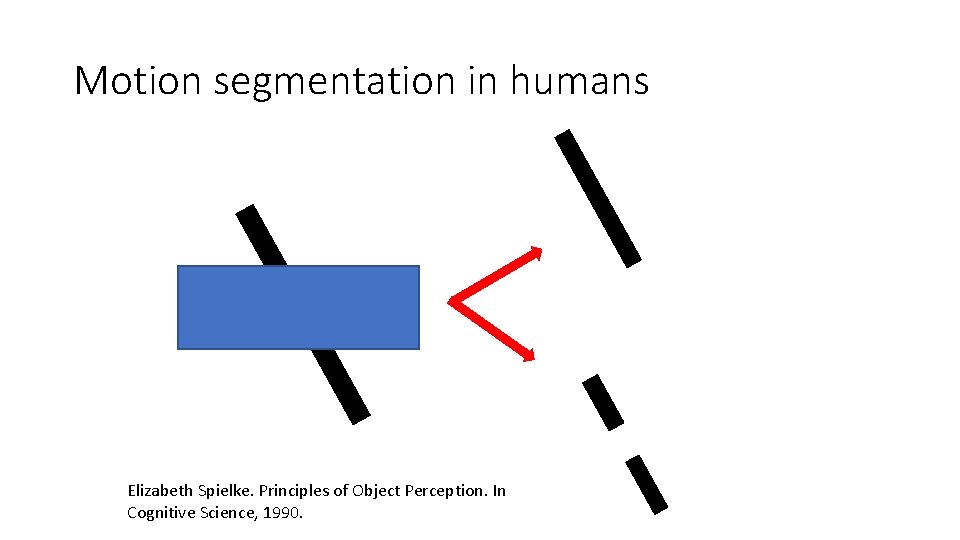 Motion segmentation in humans Elizabeth Spielke. Principles of Object Perception. In Cognitive Science, 1990.