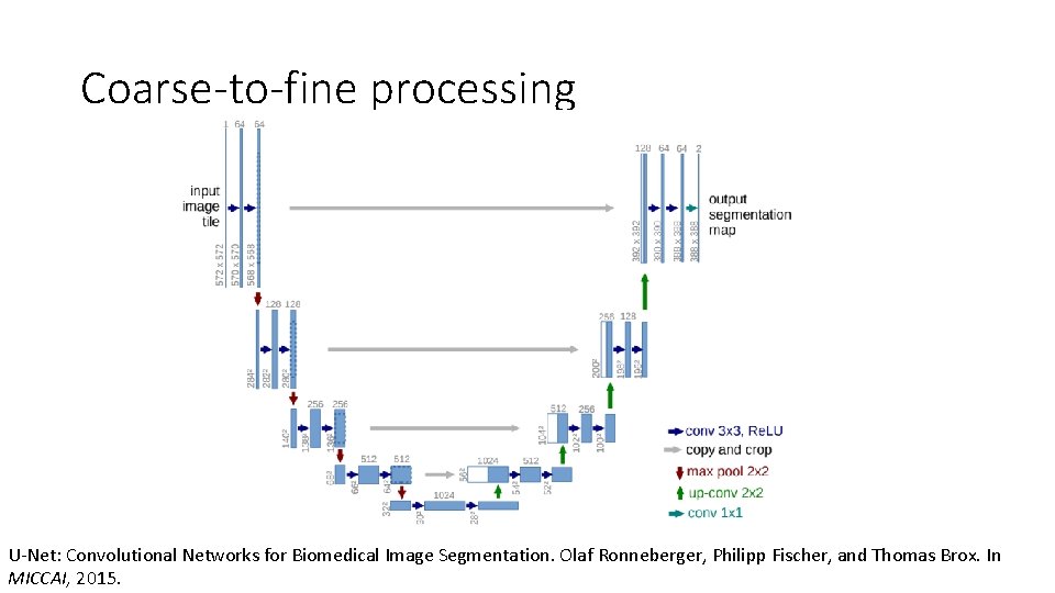 Coarse-to-fine processing U-Net: Convolutional Networks for Biomedical Image Segmentation. Olaf Ronneberger, Philipp Fischer, and