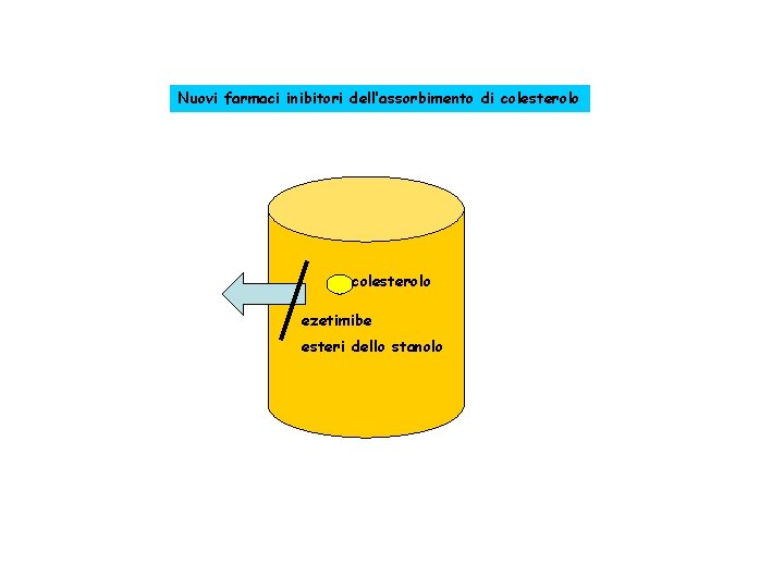 Nuovi farmaci inibitori dell’assorbimento di colesterolo ezetimibe esteri dello stanolo 