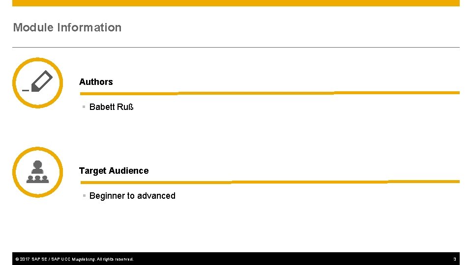 Module Information Authors § Babett Ruß Target Audience § Beginner to advanced © 2017