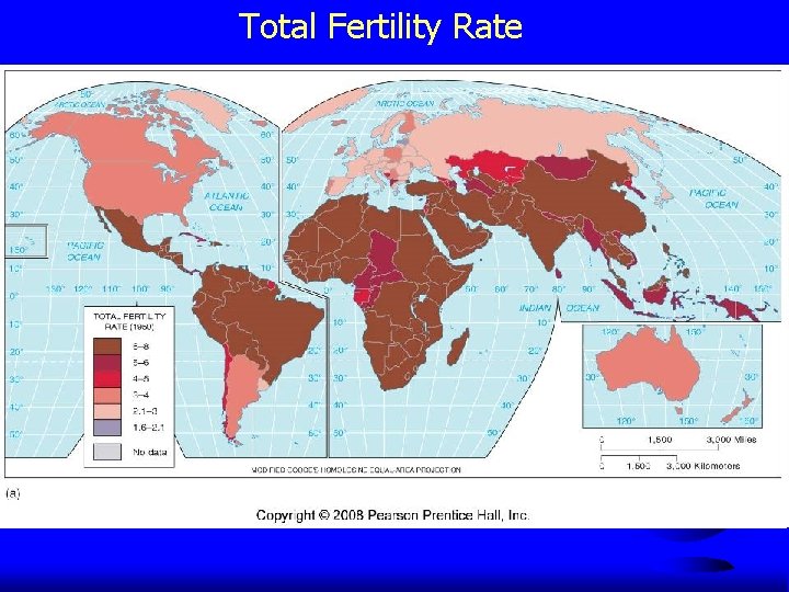 Total Fertility Rate 