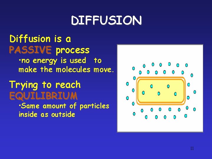 DIFFUSION Diffusion is a PASSIVE process • no energy is used to make the DIFFUSION Diffusion is a PASSIVE process • no energy is used to make the