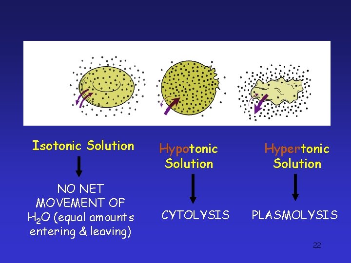 Isotonic Solution NO NET MOVEMENT OF H 2 O (equal amounts entering & leaving) Isotonic Solution NO NET MOVEMENT OF H 2 O (equal amounts entering & leaving)