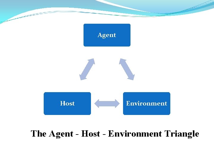 Agent Host Environment The Agent - Host - Environment Triangle 