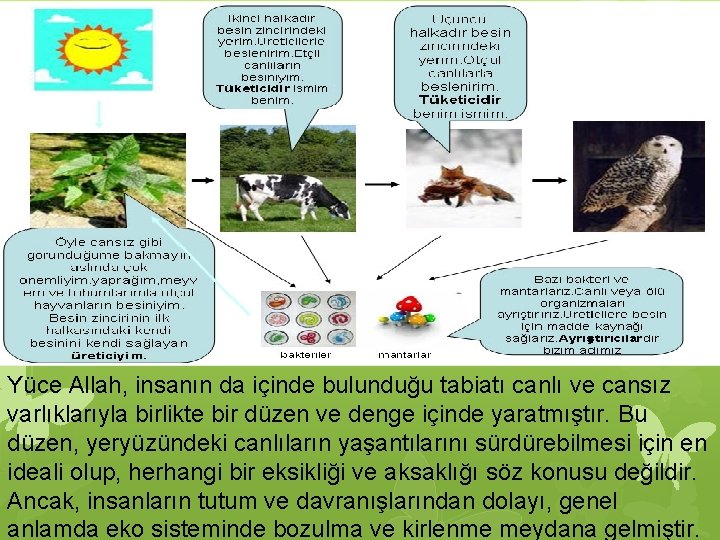 Yüce Allah, insanın da içinde bulunduğu tabiatı canlı ve cansız varlıklarıyla birlikte bir düzen