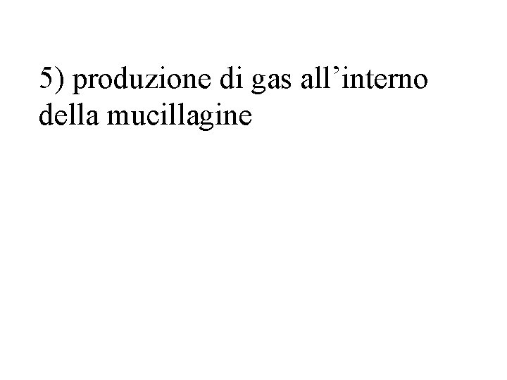 5) produzione di gas all’interno della mucillagine 