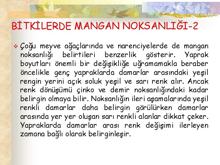 BİTKİLERDE MANGAN NOKSANLIĞI-2 v Çoğu meyve ağaçlarında ve narenciyelerde de mangan noksanlığı belirtileri benzerlik