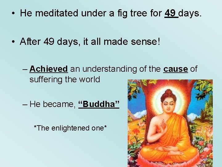  • He meditated under a fig tree for 49 days. • After 49