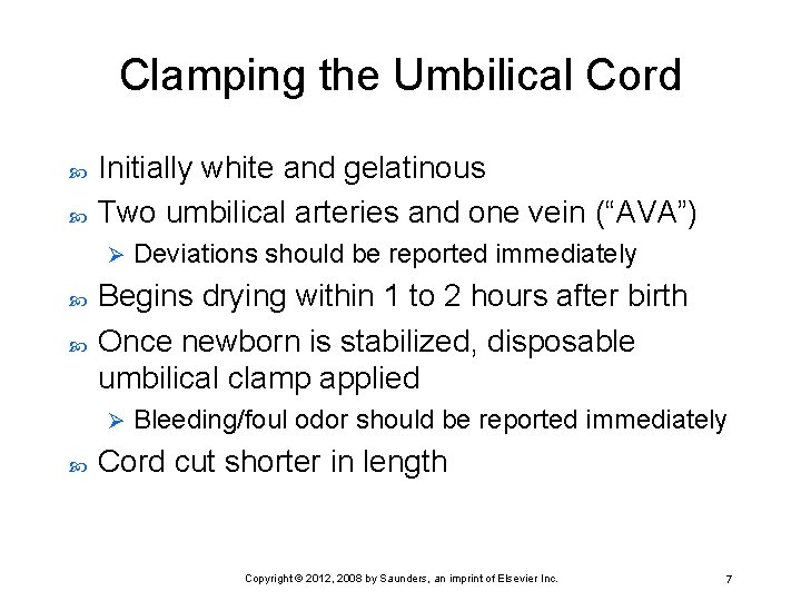 Clamping the Umbilical Cord Initially white and gelatinous Two umbilical arteries and one vein