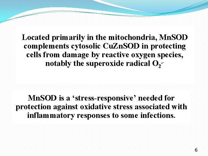Located primarily in the mitochondria, Mn. SOD complements cytosolic Cu. Zn. SOD in protecting