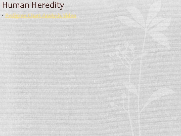 Human Heredity • Pedigree Chart Analysis Video 