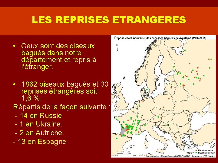 LES REPRISES ETRANGERES • Ceux sont des oiseaux bagués dans notre département et repris