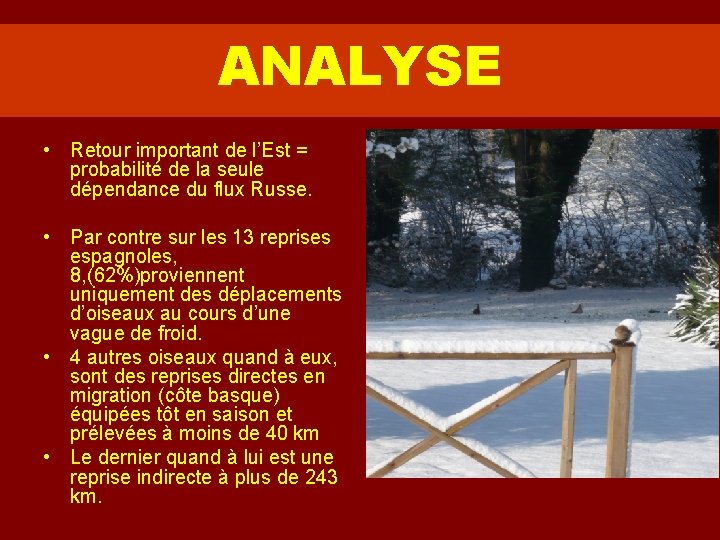 ANALYSE • Retour important de l’Est = probabilité de la seule dépendance du flux