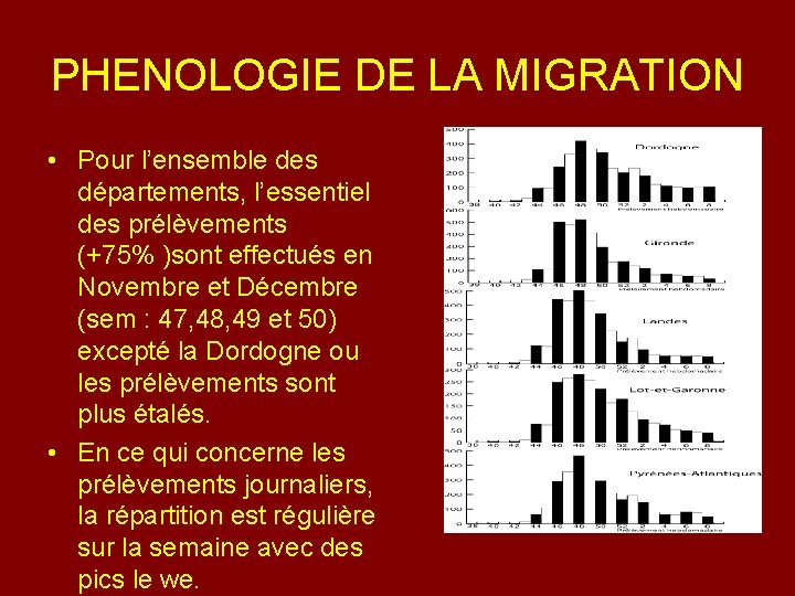 PHENOLOGIE DE LA MIGRATION • Pour l’ensemble des départements, l’essentiel des prélèvements (+75% )sont