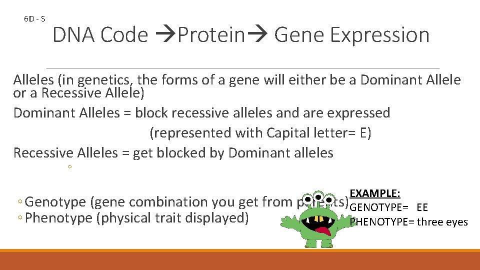 6 D - S DNA Code Protein Gene Expression Alleles (in genetics, the forms