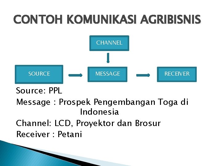 CONTOH KOMUNIKASI AGRIBISNIS CHANNEL SOURCE MESSAGE RECEIVER Source: PPL Message : Prospek Pengembangan Toga