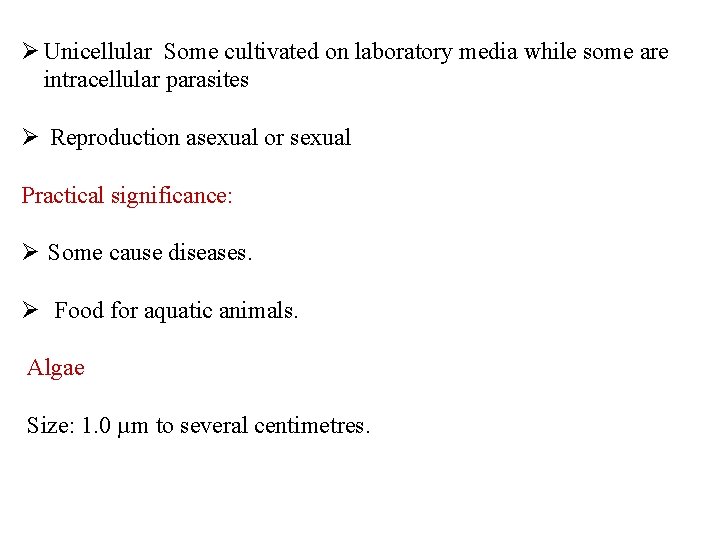 Ø Unicellular Some cultivated on laboratory media while some are intracellular parasites Ø Reproduction