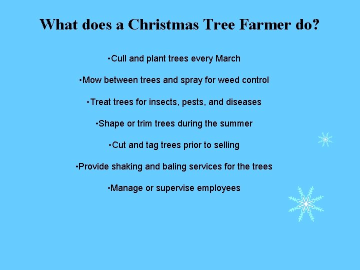 What does a Christmas Tree Farmer do? • Cull and plant trees every March