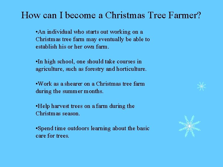 How can I become a Christmas Tree Farmer? • An individual who starts out