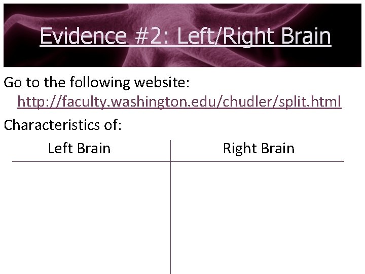 Evidence #2: Left/Right Brain Go to the following website: http: //faculty. washington. edu/chudler/split. html
