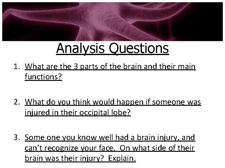 Analysis Questions 1. What are the 3 parts of the brain and their main