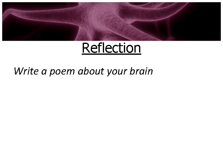 Reflection Write a poem about your brain 