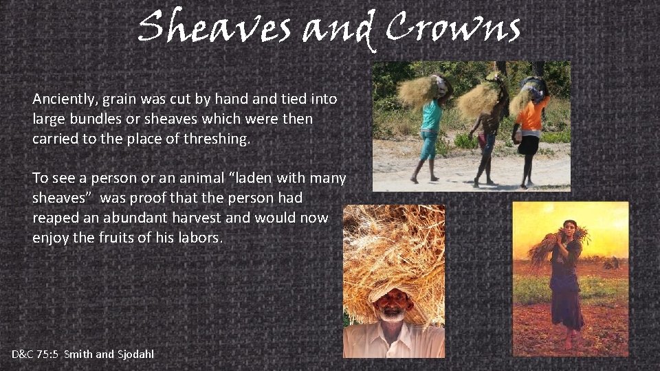 Sheaves and Crowns Anciently, grain was cut by hand tied into large bundles or