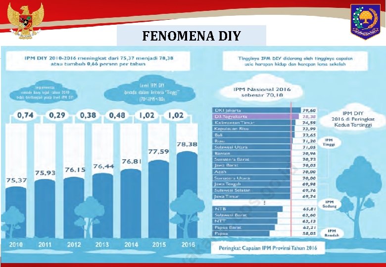 FENOMENA DIY 