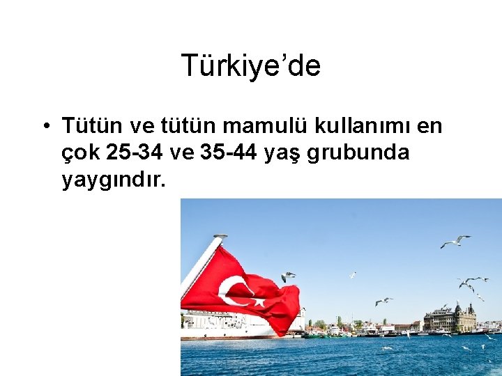 Türkiye’de • Tütün ve tütün mamulü kullanımı en çok 25 -34 ve 35 -44