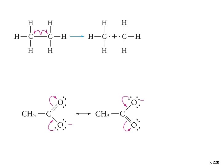 p. 22 b 