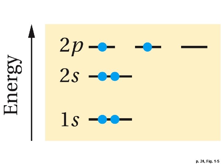 p. 24, Fig. 1 -5 