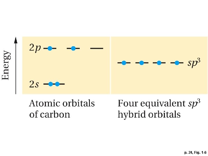 p. 24, Fig. 1 -6 
