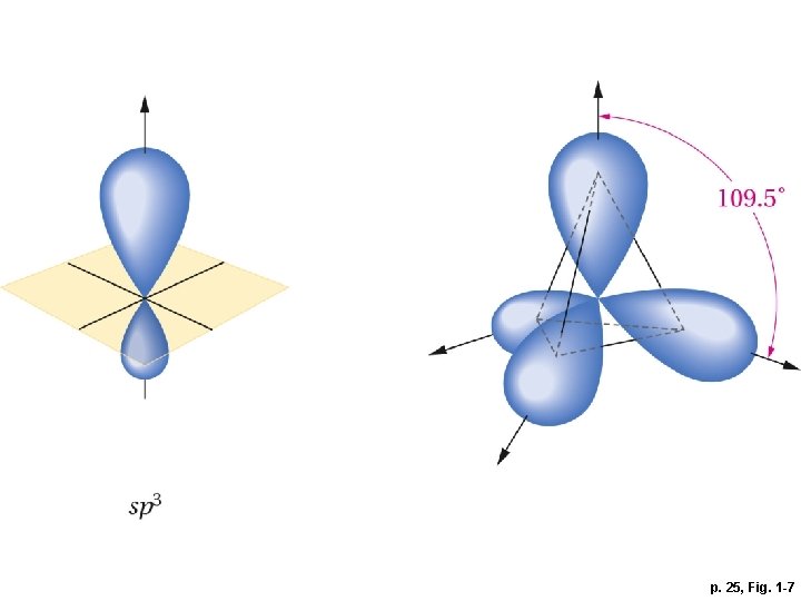 p. 25, Fig. 1 -7 