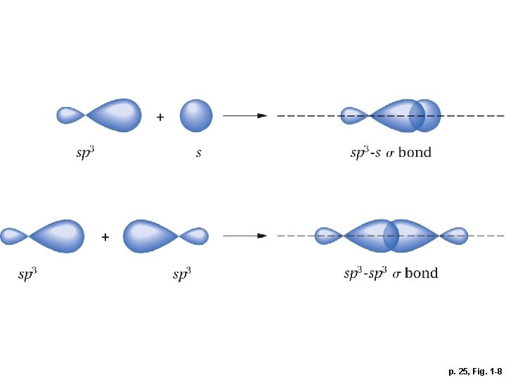 p. 25, Fig. 1 -8 