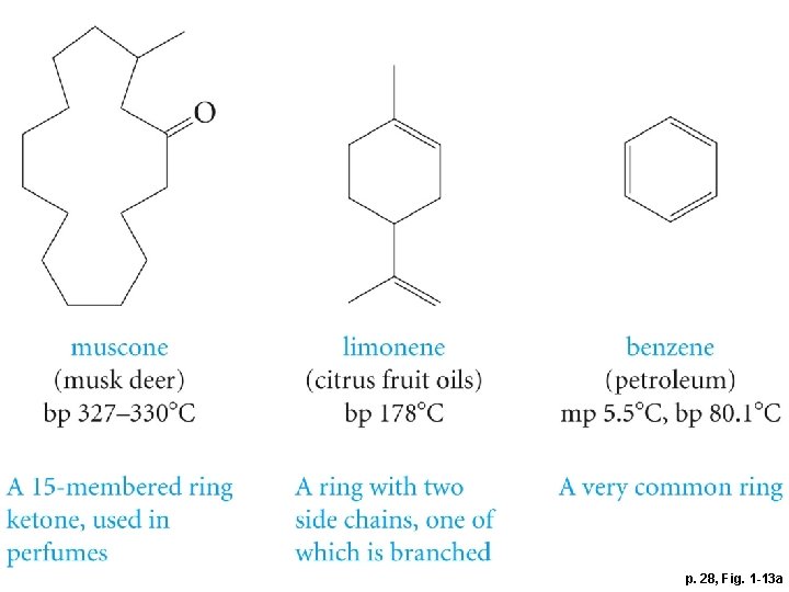 p. 28, Fig. 1 -13 a 