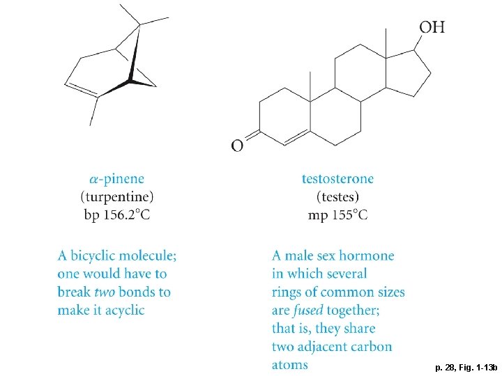 p. 28, Fig. 1 -13 b 