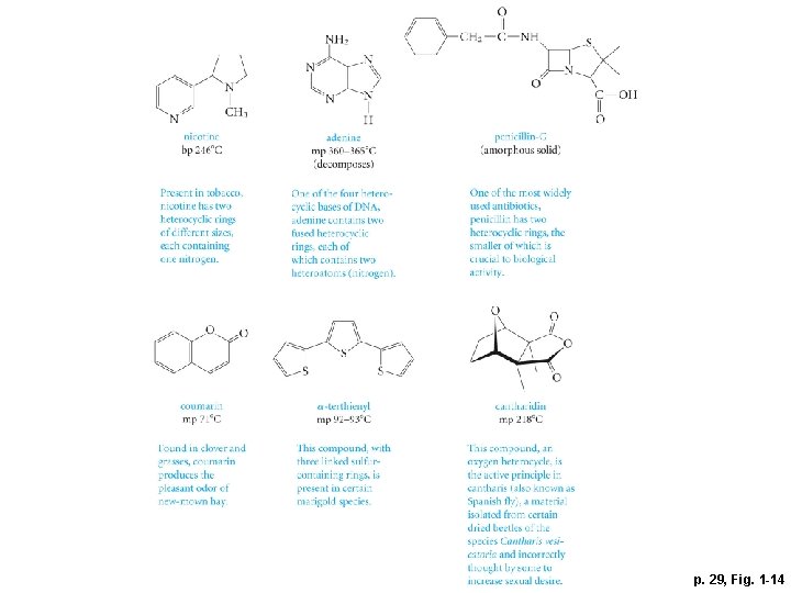 p. 29, Fig. 1 -14 