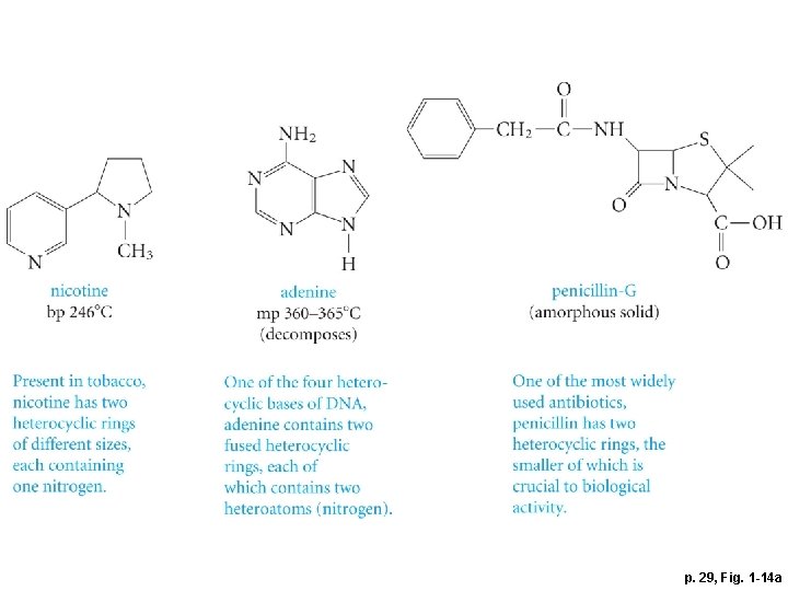 p. 29, Fig. 1 -14 a 