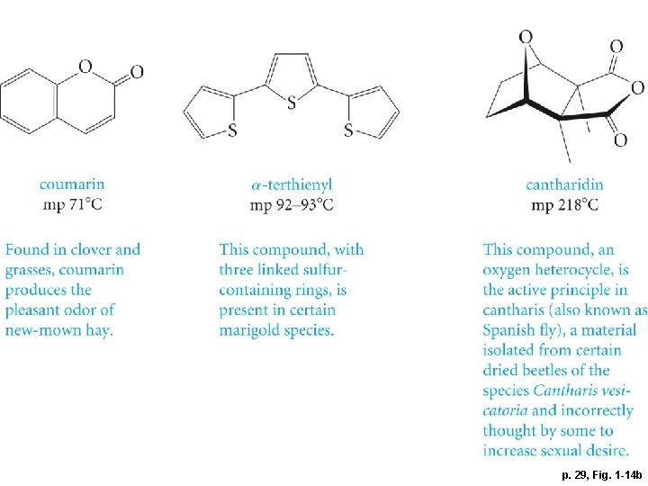 p. 29, Fig. 1 -14 b 