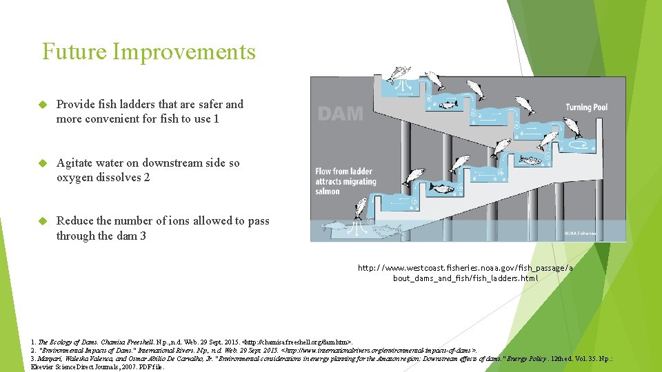 Future Improvements Provide fish ladders that are safer and more convenient for fish to